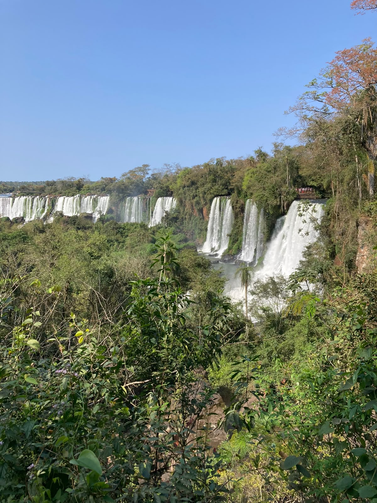Panorama das quedas das Cataratas entre a vegetação